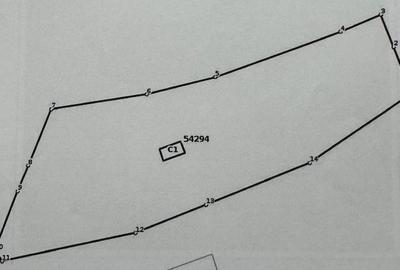 Teren intravilan de 3323 mp, în Husasău de Criș