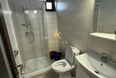 Casă individuală pentru Birouri / Sediu Firmă – Zona Tei (Singur în curte) - 9