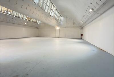 Pantelimon / Republica - Spațiu Industrial / Producție / Depozitare - 1