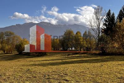 Teren intravilan 500 mp | Tohanița, Bran | Vedere  | Ideal pentru caban - 2