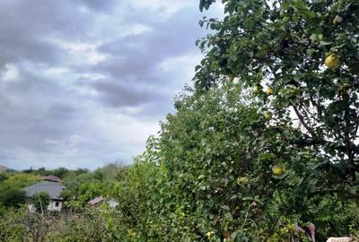 Proprietate în zonă de deal în localitatea Zărnești, la 20km de orașul Buzău - 1