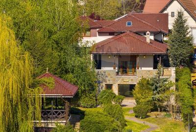 Arhitectura din Piatra si Lemn pe Malul Lacului Mogosoaia - 1