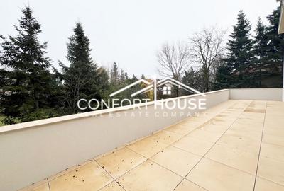 Vilă de lux in Iancu Nicolae, prima inchiriere, acces restrictionat - 37