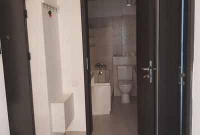 Inchiriere Apartament 2 camere decomandat Herastrau - 18