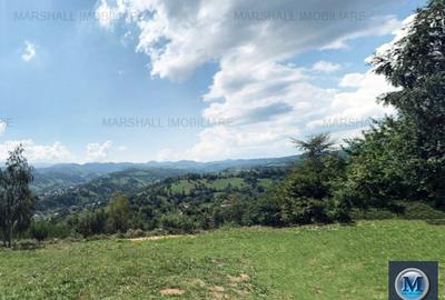 Teren intravilan de vanzare in Bran, 24000 mp #16561 - 5