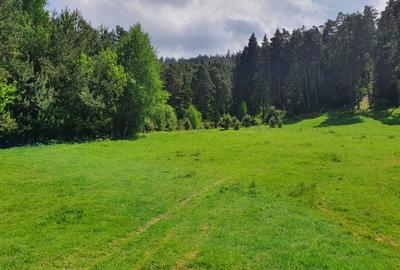 TEREN DE VANZARE INTRAVILAN - 5
