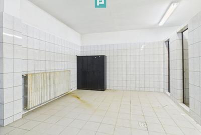 Hale 1800 mp fiecare – acces autostradă, Teiu, HD - 15