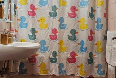 Apartament Luminos 3 camere. Sincai. Metrou. Parc Tineretului. Piata Norilor. - 10