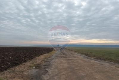 Vanzare teren intravilan parcelat, in Branesti langa - Autostrada A2 - 12