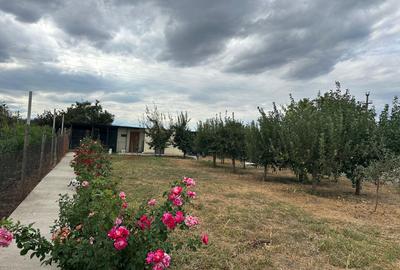Casă spațioasă în Vânători, 5 camere, teren 1070 mp, livadă - 7