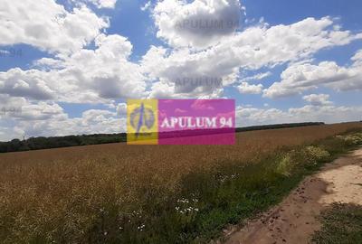 Teren 715mp în Snagov lângă Equestria - 54