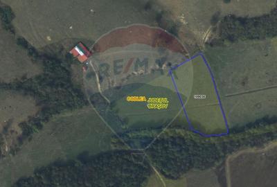Teren 10,000mp Codlea / DN 1 - 5