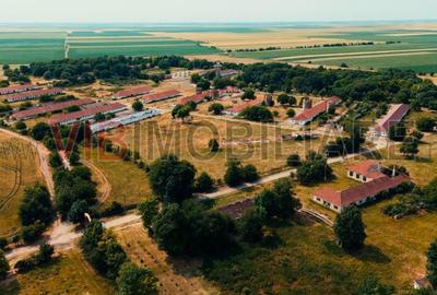 Ferma complet utilată – 30 ha teren comasat cu 11.500mp grajduri renovate Timiș - 6