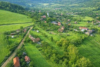 Teren 1.120 mp,Dobolii de Sus:liniste,aer curat si multiple posibilitati de util - 3