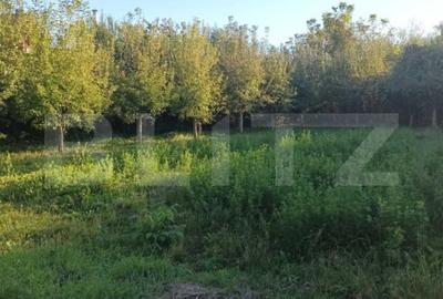 Casă cu teren, 1891 mp, în Stupini – livadă și multiple spații, anexe + garaj - 7