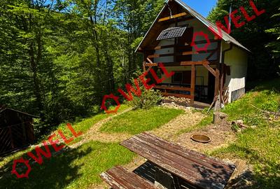 Cabana deosebită de vânzare între Valea Zălanului și Malnaș! - 11