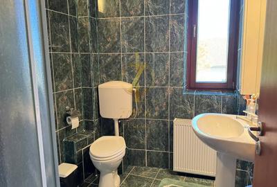 Duplex spațios cu 6 camere | Buziaș - 16