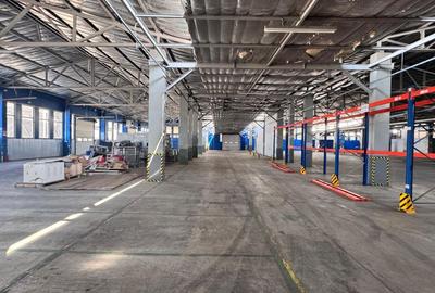 Hală industrială de închiriat 1500-3400 mp uta Arad - 16