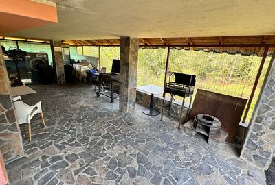 Casa de vacanta-pensiune - 9