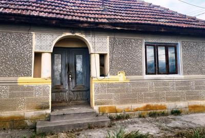 Casă cu utilități și teren 550 mp la Lipia, comuna Merei - 3