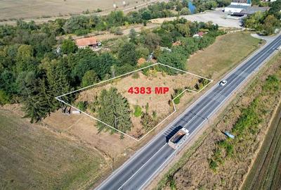 FILM!Teritoriu versatil:4.383 mp intravilan, deschidere 47ml, Sfantu Gheorghe - 3