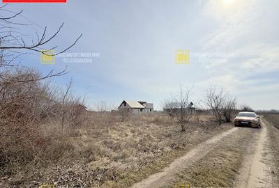 Teren 600mp in Vanatori la iesirea spre Odaia Manolache - 5