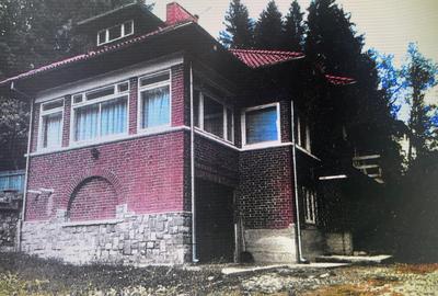 Vila interbelica "Sandoza" - 1