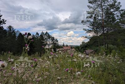 Teren intravilan pentru constructie casa in Cheile Baciului - 6