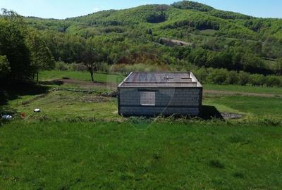 Proprietate de vanzare langa liziera pădurii Coas - 8