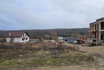 Teren Construcții intravilan de 900 mp, în Săldăbagiu de Munte