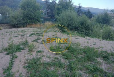 Teren intravilan 15.000 mp Busteni - 4