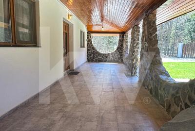 Vila de poveste din Valea Avrigului de vanzare - 39