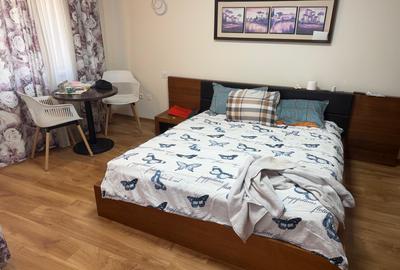 APARTAMENT 4 CAMERE DE INCHIRIAT BULEVARDUL UNIRII - 10