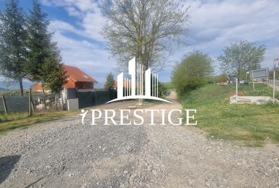 TEREN  EXTRAVILAN 2000 MP ÎN DAIA - BAVARIA | DEALUL 2 | DOAR 15€/MP - 35