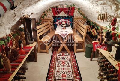 NEGRU VODA(cod04)-Casa 5 camere- Central - 7