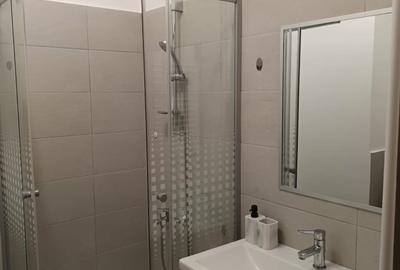 Inchiriez apartament 2 camere / Drumul Taberei / Centrala termica - 8