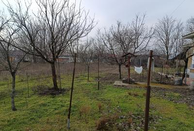 Casă + Teren 4625 mp – Cataloi (10 min de Tulcea) - 4