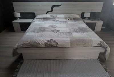 Casa cu 5 camere, 234mp utili, 700mp teren, Borhanci - 8