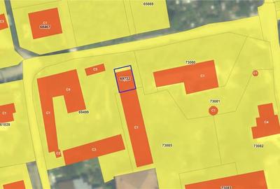 Spatiu versatil 296mp, teren 1766mp, Visan - 12