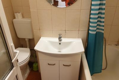 Ion Mihalache - Banu Manta -Pet friendly-inchiriere garsoniera - 4
