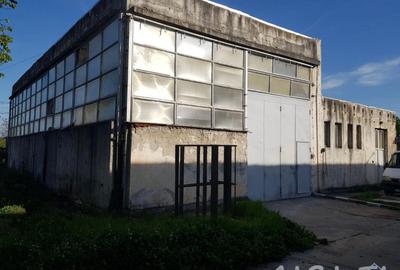 Hala Industriala, Strada Aleea Macului, Targu Jiu - 3