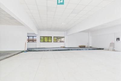 Spații Comerciale între 70 și 350 mp în Dumbrăvița - 14