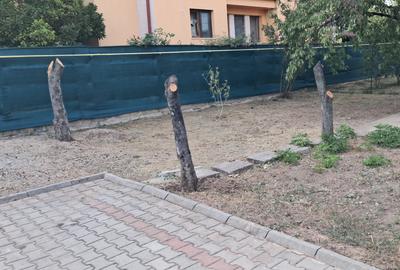 Vanzare casa individuala Otopeni, P+1+Pod, amprenta 130 mp, teren 780 mp - 16
