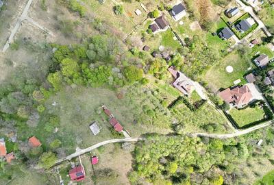 Teren intravilan Bran- Predelut - 4