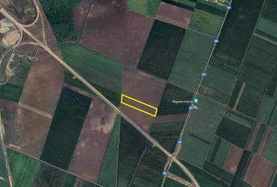 Teren de 19.000 mp de vanzare in Ștefanestii de Jos - ideal pentru hale. - 1