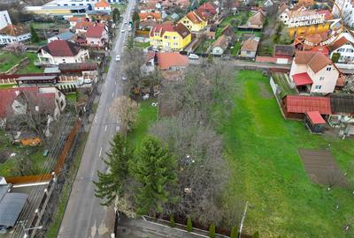 Casa traditionala, cu 709 mp teren intravilan zona apreciabila, Sfantu Gheorghe - 22