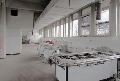 Diverse activitati comerciale si office - 8