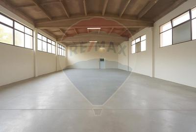 Spațiu industrial, de 210 mp, în Tăuții de Sus