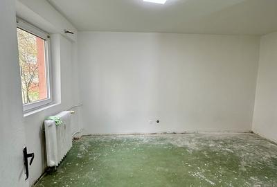 Lacul Tei, langa Facultatea de Constructii - 3