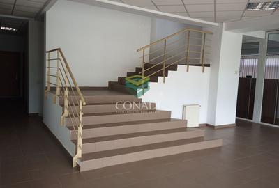 Spatiu birouri si hala Otopeni zona pasaj DNCB  Lukoil BMW - 2